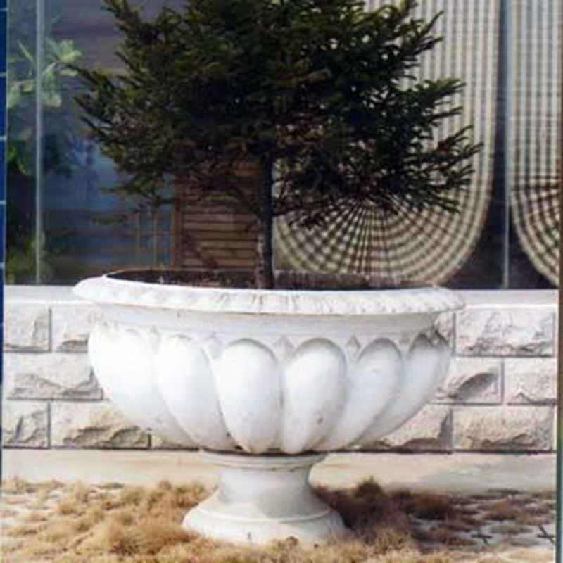 花盆